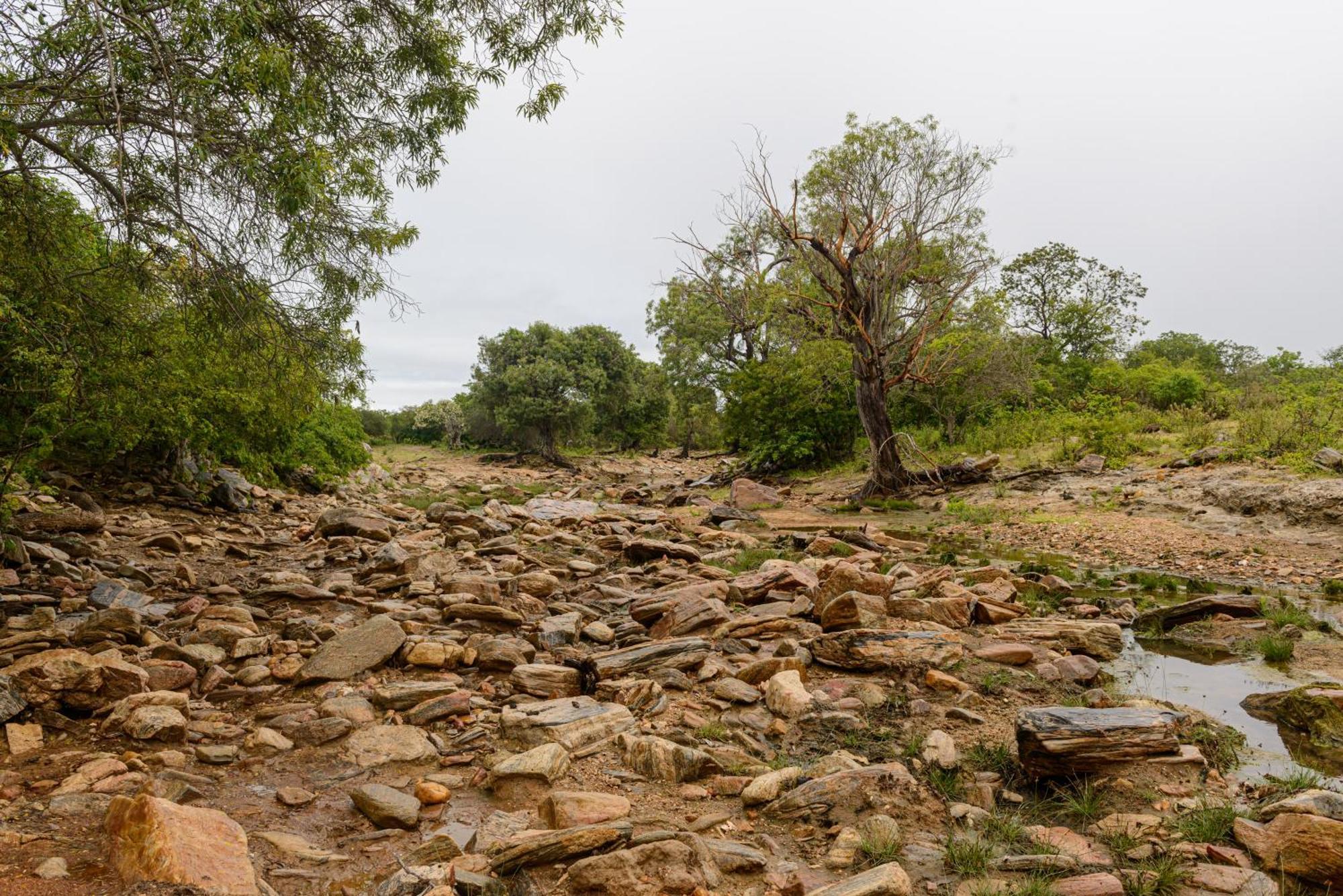 Fazenda Poco Das Pedras São João do Cariri Dış mekan fotoğraf